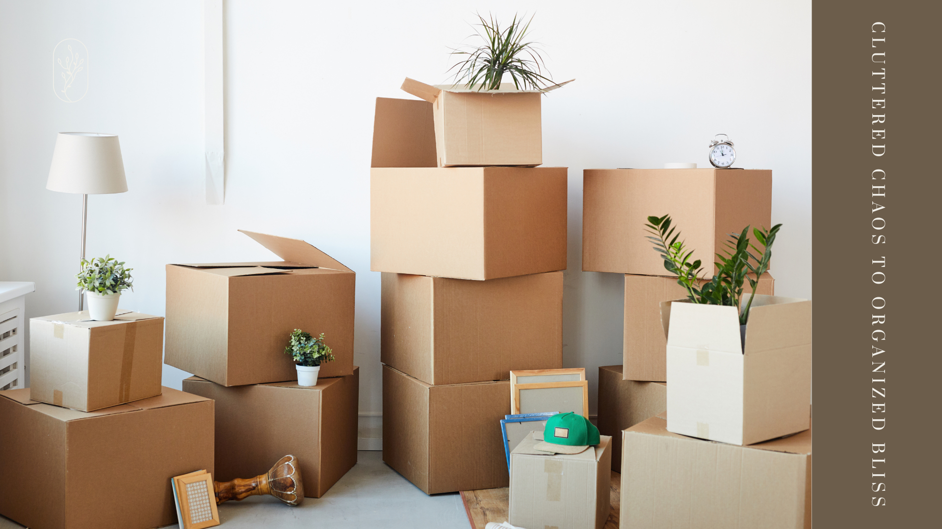 Cluttered Chaos to Organized Bliss